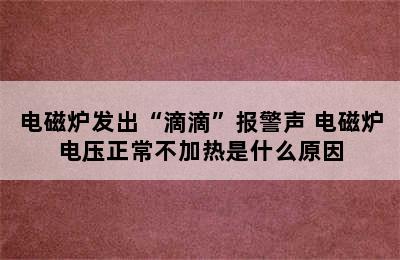 电磁炉发出“滴滴”报警声 电磁炉电压正常不加热是什么原因